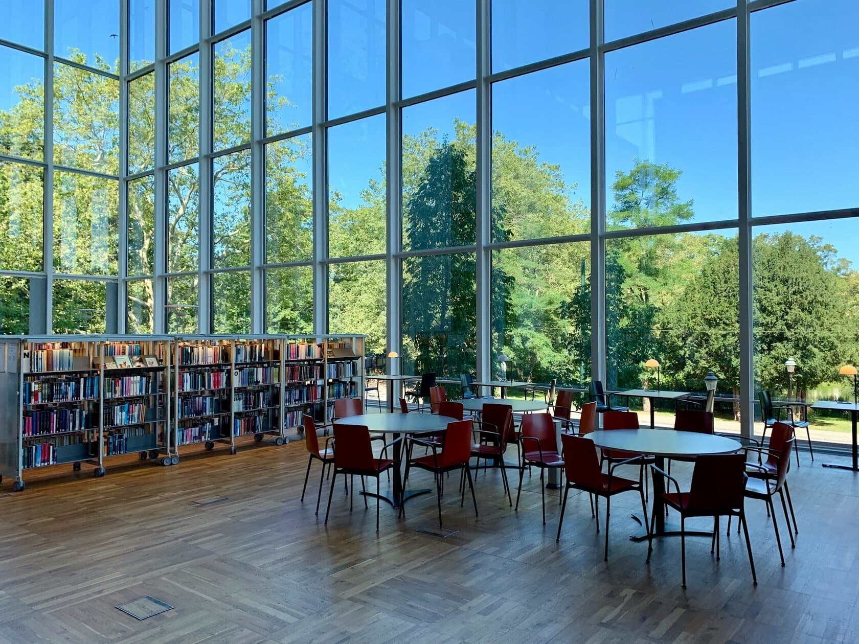 Bright campus library with study tables and tall windows